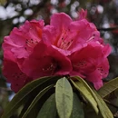 毕节旅游 缩略图 1
