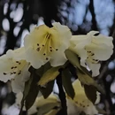 毕节旅游 缩略图 8