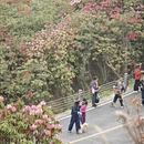 毕节旅游 缩略图 4
