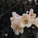 毕节旅游 缩略图 7