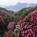 遵义旅游 缩略图 1