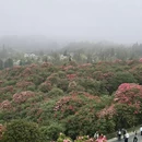 毕节旅游 缩略图 2