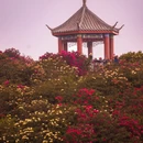 贵阳旅游 缩略图 2
