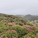 毕节旅游 缩略图 3