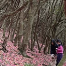 毕节旅游 缩略图 5