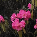 毕节旅游 缩略图 11