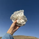 毕节旅游 缩略图 7
