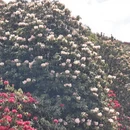 毕节旅游 缩略图 12