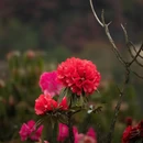 贵阳旅游 缩略图 6