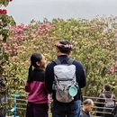 毕节旅游 缩略图 7