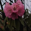 毕节旅游 缩略图 10