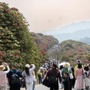 贵阳旅游 缩略图 4