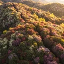 遵义旅游 缩略图 1