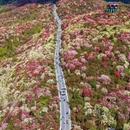 毕节旅游 缩略图 5