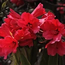 毕节旅游 缩略图 2