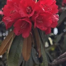 毕节旅游 缩略图 4