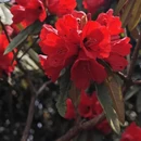 毕节旅游 缩略图 5