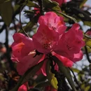 毕节旅游 缩略图 3