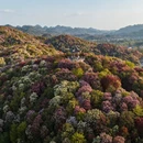 遵义旅游 缩略图 4