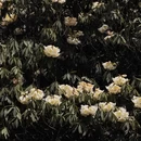 毕节旅游 缩略图 6