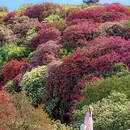 毕节旅游 缩略图 10
