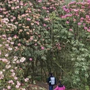 毕节旅游 缩略图 1