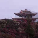 贵阳旅游 缩略图 5