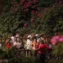 毕节旅游 缩略图 3