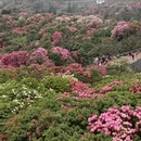 毕节旅游 缩略图 2