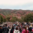 毕节旅游 缩略图 4