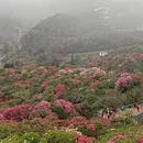 毕节旅游 缩略图 4