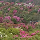 毕节旅游 缩略图 1