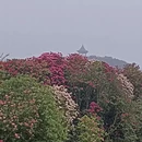毕节旅游 缩略图 3