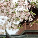 宁波旅游 缩略图 2