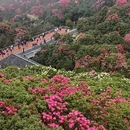 毕节旅游 缩略图 5