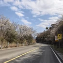 宁波旅游 缩略图 8