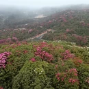 毕节旅游 缩略图 6