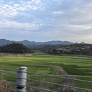 宁波旅游 缩略图 12