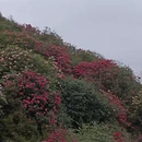 毕节旅游 缩略图 8