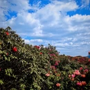 毕节旅游 缩略图 2