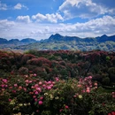 毕节旅游 缩略图 4