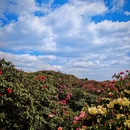 毕节旅游 缩略图 3