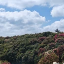 毕节旅游 缩略图 6
