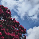 毕节旅游 缩略图 5
