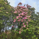 毕节旅游 缩略图 7