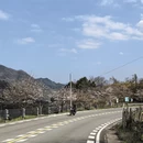宁波旅游 缩略图 1