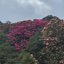 毕节旅游 缩略图 9