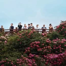 毕节旅游 缩略图 1