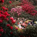 毕节旅游 缩略图 2