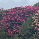 毕节旅游 缩略图 8